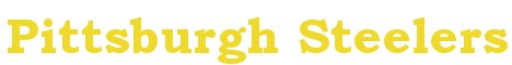 image representing pittsburgh steelers